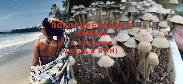 амф Армянск