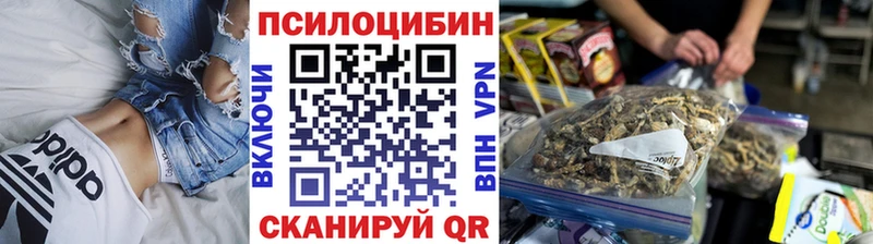 Псилоцибиновые грибы прущие грибы  Новороссийск 