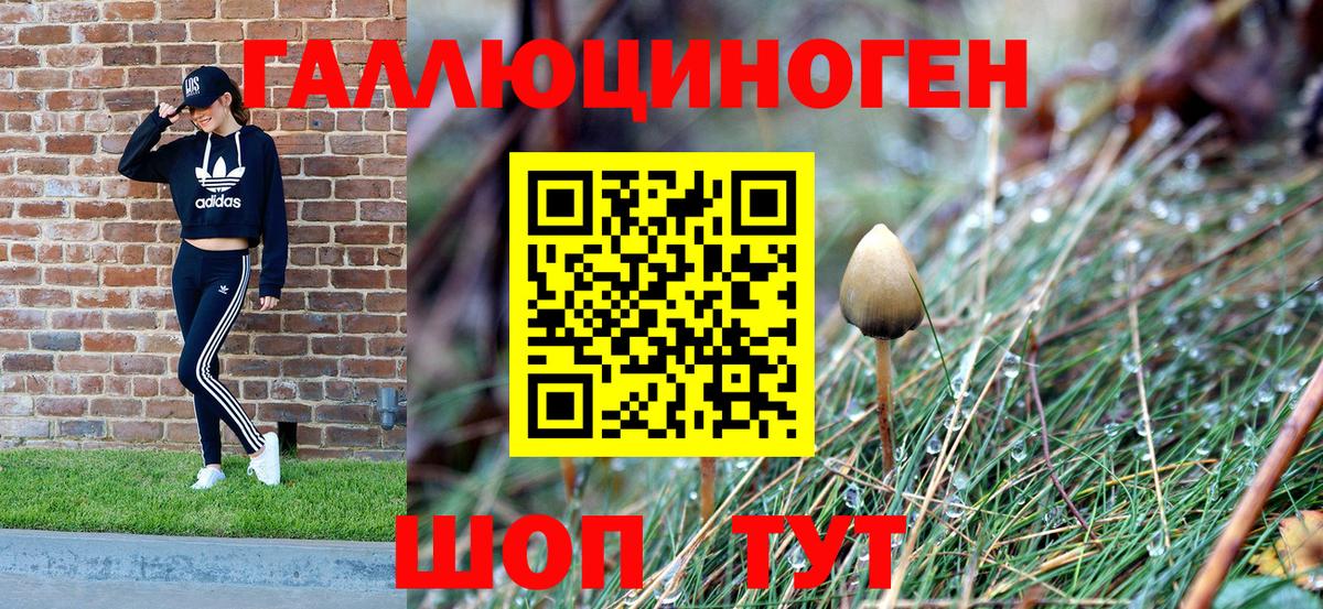 Новороссийск  Галлюциногенные грибы Psilocybine cubensis  Псилоцибиновые грибы Psilocybe  Вход с VPN 